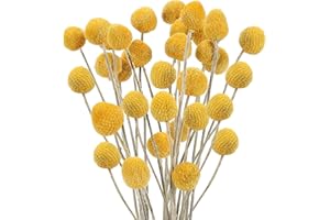 SLFYEE 30pcs Flores Secas Naturales Decoración 40cm Bolas de Flores Secas Naturales Ramo de Hierba de Flores Secas para Decoración del Hogar, Dormitorio, Boda Boho, Cumpleaños