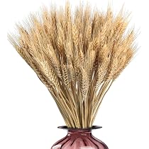 100 épis De Blé Naturels Séchés - Déco Maison Et Bouquets Champêtres 40cm - Qualité Premium