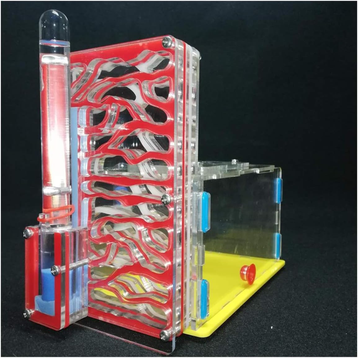 ZHL DIY Ant Nest AntHouse Hormiguero Acrílico Nido Hormigas Grande Ant Nest Área Alimentación Educativo Ciencia (Color : Red)