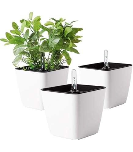 Qualy Oasis Hill – Blumentopf Mit Selbstbewässerung, Weiß, Größe S