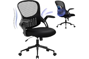 COLAMY Office Chair with Padded 90° Flip-up Armrest, Lumbar Support, Height Adjustable Ergonomic Desk Chair, Executive Swivel Rolling Computer Chair, Comfy Seat Cushion for Home/Office (Black)