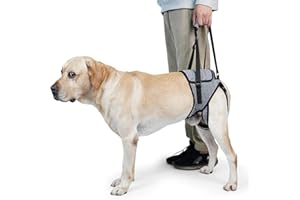 MEZOKUCEL Pettorina Morbida Regolabile per Cani Disabili Feriti Artritici (M)