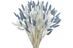 Barlone 120 Stück Pampasgras Klein, Hasenschwanzgras Getrocknet Pampasgras Deko, Pampas Gras Trockenblumen Weiß und Graublau, Trockenblumen Klein Pampas Gras für Deko Wohnzimmer Hochzeit Tischdeko