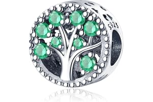 Jokmeo Ciondolo charm in argento 925 puro, compatibile con bracciali e collari della marca Pandora e di stile europeo. Adatto a donne e ragazze.T2