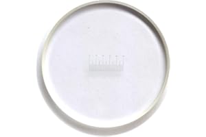 MUHWA 0.1mm High Quality feet Shaped Eyepiece Graticule Measuring Glass Eyepiece Micrometer Ocular Reticle Foot Shaped Eyepiece Ruler Slides