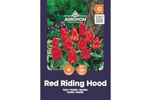 AGRONOM TESTED IN THE GARDEN AGRONOM | TULIPANES - RED REDDING HOOD | Bulbos de flores perennes | Flores Rojo | Se cultivan en jardines de flores, macetas, se plantan en céspedes en flor | Paquete de 4 bulbos de flores