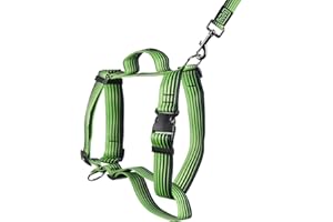 BUB'S Bub’s® Arnés Perro Grande con Asa Antitirones - Arnés Perro Forma de H - Pechera Canina (Grande con Asa, Verde)