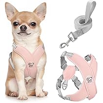 Atmungsaktives Hundegeschirr Mit Reflektoren - Weich, Verstellbar Für Kleine & Mittelgroße Hunde
