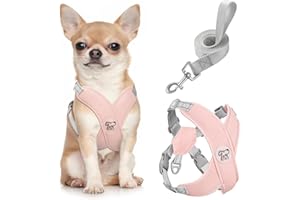 Pawaboo Arnés Perros con Correa, Arnes Tipo Chaleco para Perros Pequeños Medianos, Arnés Ajustable Antitirones Transpirable Acolchado de Forma X para Cachorros Gatos Caminar Entrenamiento, S, Rosa