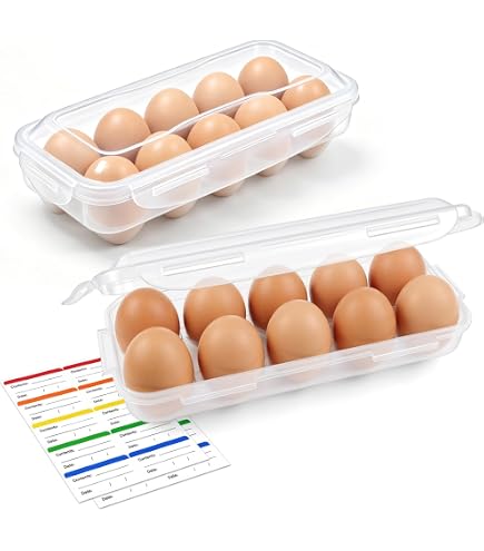 QINERSAW 2er Set Eierbox 10 Eier Eierbehälter mit Deckel Eieraufbewahrungsboxen für Kühlschrank Eier Transportbox Kunststoff Küche, Haushalt & Wohnen