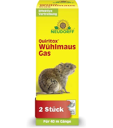 brokkolisamen essen Gekeimte Ur-Brokkoli Samen ✓ Brokkolisprossen