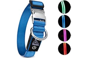 PETSATION Świecąca obroża dla psów [oryginalna] Świecąca obroża LED dla psa na spacer również w ciemności – bardzo długi czas pracy baterii – bezpieczna dzięki wysokiej jakości metalowemu zamknięciu (rozmiar L, niebieska)