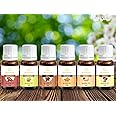 Asian Aura Cinnamon, Cardamom, Clove, Turmeric, Ginger, Nutmeg Aroma Oil, for Home Fragrance 10 Ml, Pack of 6