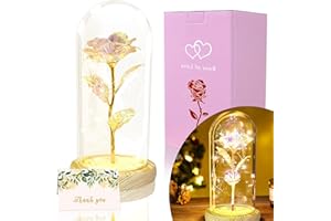 TINYOUTH Bunt Rose in Glas, 24K Ewige Rose in Glas mit Beleuchtung Batterien Inklusive Schöne und das Biest Rose für Hochzeit Jubiläum Mama Valentinstag Weihnachten Geburtstag