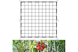 OFFCUP Scrog Netz, Wachsen Zelt Netz 100 x 100cm, Elastische Spalier Netz mit 6 Haken, Grow Netz für Pflanzen Gemüse Obst Passend Pflanzennetz für Garten Balkone Hof Gartenarbeit