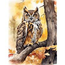 Meecaa Kit Broderie Point De Croix 11 CT Écureuil - 40x50 Cm Pré-imprimé Avec Accessoires