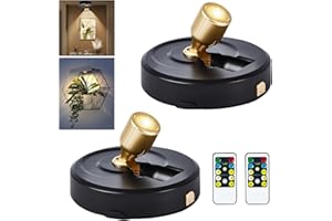 RAHAN Drahtlose LED Scheinwerfer, 2 Stück Batteriebetriebene Bild-Lichter Puck-Lichter, Beleuchtung im Innenbereich mit Fernbedienung, Spot Licht für Wandkunst Anzeige Dartboard Malerei Kunstwerk Akzent Sch