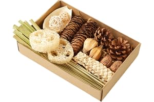 Bird Foraging Box Foraging – Shredding Enrichment Box Bird Toys for | Bird Toys for Cage Parrot Conure Canary Finch Pet Home Indoor