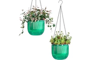 Josteve 6.5 Inch 2 Pcs Self Watering Hanging Planter Indoor Plant Pots with Drainage Holes, Outdoor Hanging Planters Flower Pot Basket, Visible Water Level, Plant Hanger Home Decor, Gardening