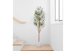 ‎PASCH PASCH® Künstlicher Olivenbaum (150cm) - Stilvoll & Naturgetreu | Künstliche Pflanzen groß | Kunstpflanzen groß: Olive Tree | Olivenbaum künstlich groß für EIN mediterranes Ambiente