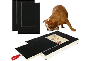 ALONGEN Lima de madera para rascar uñas para perro, con caja de aperitivos integrada, papel de lija para cachorros, rascador alternativo al cortaúñas y amoladoras de perros (con 2 calcomanías de repuesto)