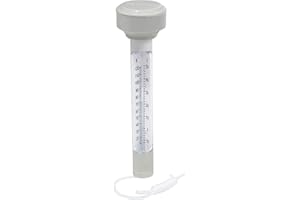 Bestway Flowclear Schwimmendes Pool-Thermometer, Grau, 5x5x19 cm