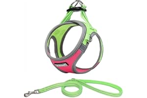 DORAMIO Hundegeschirr Kleine Hunde mit Leine, Step-in Geschirr Reflektierend Atmungsaktiv Brustgeschirr Anti Zug Sicherheitsgeschirr Katzengeschirr für Kleine Hunde, Katzen (L, Rosenrot)