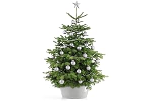 Ecopots Christbaumständer mit Wasserspeicher für Bäume bis 3,00 m Baumhöhe umkippsicher - Tannenbaumständer Helllgrau aus Recycling Kunststoff Ø 50 cm rund groß - Weihnachtsbaumständer Weihnachtsbaum