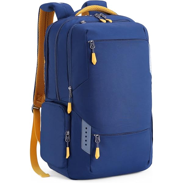 American Tourister Rubio 30L Executive Laptop Backpack with USB Port, Lockable Compartment, Expandable Storage, Smart Sleeve, Hidden Pocket & Rain Cover – Office, Business, Travel
