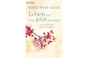 Leben ist, was jetzt passiert: Das Geheimnis der Achtsamkeit