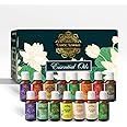 Exotic Aromas Essential Oil Pack of 15 Lavender Rose Sandalwood Jasmine Orange Rosemary Lemongrass Ylang Ylang Tea Tree Peppermint Eucalyptus Lemon Frankincense Vanilla Citronella