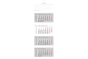 2026 Adina Wandkalender Viermonatskalender mit Tagesanzeiger 92x33cm