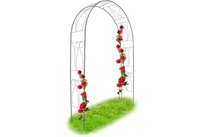 Relaxdays 10018869 Arche à Rosiers tuteur roses arche de jardin arceau rosiers Support Plantes Grimpantes 233 x 153 x 39 cm Vert 2,3 m