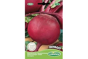 Germisem Detroit Semillas de Remolacha 5 g