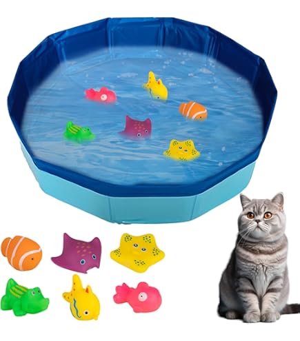 Kattenzwembad speelgoed met interactief viswater Kattenzwembad speelgoed met interactief viswater