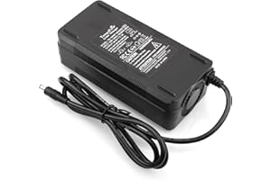 TANGSFIRE Caricabatterie 54,6 V 3 A per batteria agli ioni di litio 13S 48 V caricatore per batteria al litio bicicletta elettrica DC 5,5 x 2,1 mm