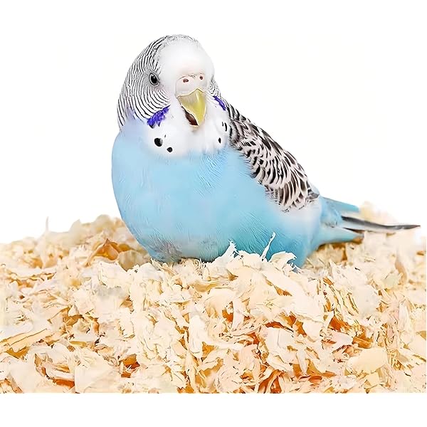 Eisoary Natural Coconut Shell Parrot Bird Pet Nest Hanging Summer Bed Cage Decoration Style B Eisoary Natural Coconut Shell Parrot Bird Pet Nest Hanging Summer Bed Cage Decoration Style B