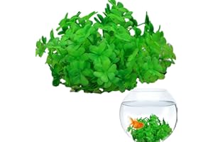Fukamou Piante d'acquario - Piante d'acquario finte per decorazioni di pesci - Piante naturali simulate realistiche per acquario, piscina, acquario, decorazioni per pesci
