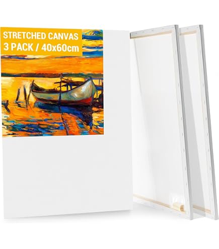 6 BK BASIC STRETCHED BLANK CANVASES 50 x 70 cm ~20x28 in canvas on stretcher bars