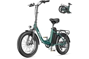 DYU C9 Vélo Électrique Pliable 20" Pneus Fat, Moteur 250W, Batterie Amovible 48V 15.6Ah, Double Suspension, 7 Vitesses, Écran LED, Velo Electrique Urbain pour Adultes, Autonomie Jusqu’à 80-150KM