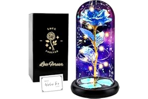 ‎FAYODO FAYODO Die Schöne und das Biest Ewige Rose,Galaxy Rose Geschenk für Freundin