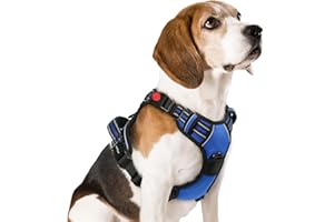 rabbitgoo Dog Harness Medium with Neck Release Buckle, Adjustable No Pull Harness with Front Back Clips, Soft Padded with Easy Control Handle, Reflective Pet Walking Vest, Blue, M