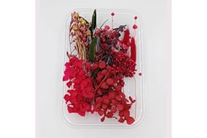 YiYFiT Natural Dried Flowers,8 Kinds Real Dried Flowers DIY Crafts Materials Dried Flowers Bouquets Materials Dried Floral Decorations For Resin Crafts Candle Making Card Wax Seals(Red with Box)