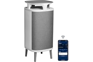 Blueair Luftreiniger DustMagnet 5240i HEPA Silent Air Purifier, Luftwäscher für bis zu 48m², Grau