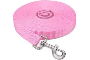 Fttouuy Longe pour Chien 5m /10m / 15m / 20m, Laisse de Dressage Longue pour Chiens, Idéal pour la randonnée, Le Camping, l'entraînement, la Plage - 10M