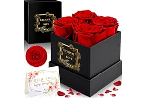 Frasheng Pudełko z różami - 4 róże nieskończoności Wieczna róża, zakonserwowana róża, 3-4 lata trwałe, prezenty dla kobiet na Walentynki, Dzień Matki, Urodziny, Rocznica ślubu, Boże Narodzenie