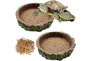 CATOR 2 Pezzi Teca per rettili Bacino idrico del Bacino Alimentare Reptile Growth terrario rettili Lunghe per criceti, tarantole, Draghi barbuti, Tartarughe di Terra, Geco leopardino, Serpente