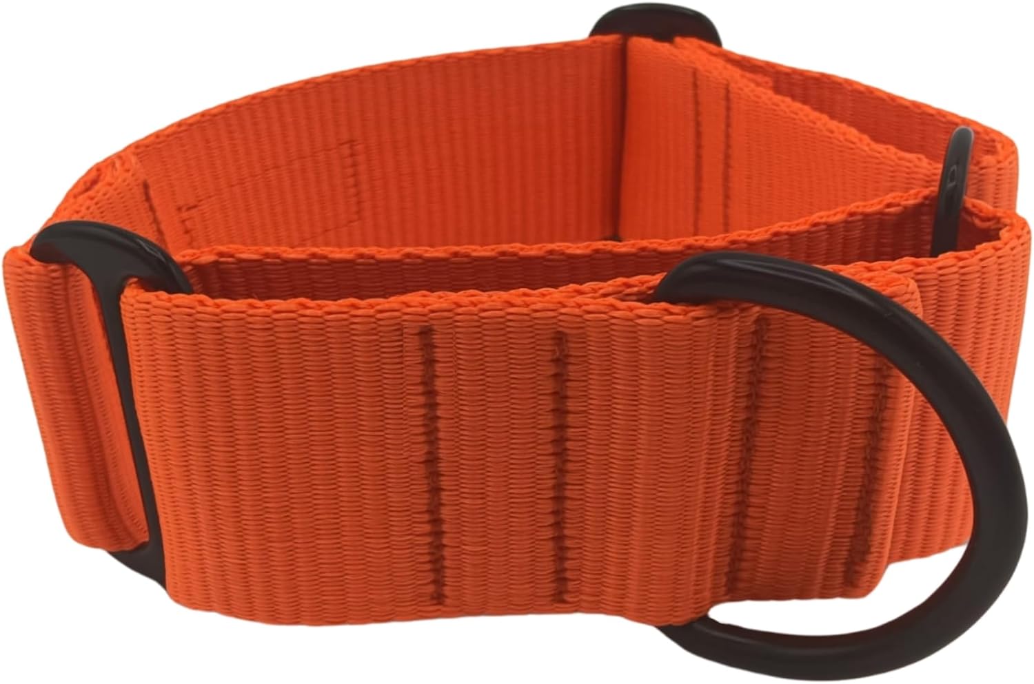 À Qui S'adresse le EGV Collar Martingale 4 cm Ancho M Naranja Co ? Profils Recommandés