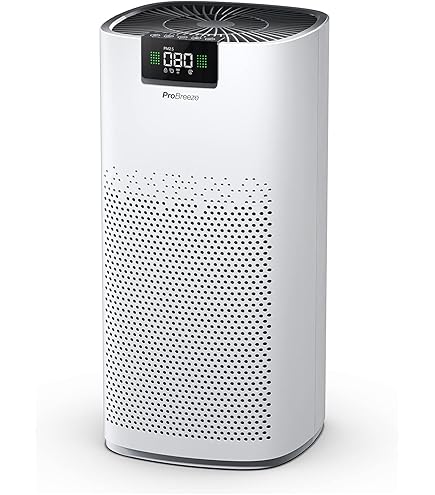 Pro Breeze Vervangingsfilter voor Luchtreiniger PB P07