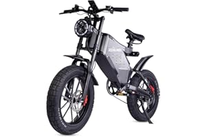 RZOGUWEX Electric Bicycle，20 Inch Off-Road EBIKE for Adults with 48V 25AH Detachable Lithium Ion Battery, Dual Hydraulic Disc Brake with Forged Mags Wheel